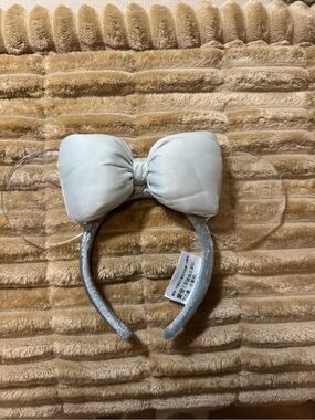 Epcot Disney ears